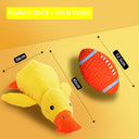 Large Dog Self-Hi Corgi Consumes Small Yellow Duck Toy Large Dog Self-Hi Corgi Consumes Small Yellow Duck Toy