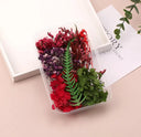 Artificial Plants & Real Dried Flowers for Home Decor Artificial Plants & Real Dried Flowers for Home Decor