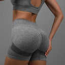 Yoga Shorts High-Waisted for Women with Butt Lifting Tummy Control Yoga Shorts High-Waisted for Women with Butt Lifting Tummy Control