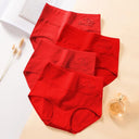4 Pcs High Waist Womens Panties Body Shaper Plus Size Briefs 4 Pcs High Waist Womens Panties Body Shaper Plus Size Briefs