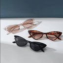 3 Pairs Per Set Small Cat Eye Sunglasses Women Cute Skinny 3 Pairs Per Set Small Cat Eye Sunglasses Women Cute Skinny