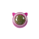 Catnip Wall Ball Cat Toy for Cats Clean Mouth Entertain Kittens Catnip Wall Ball Cat Toy for Cats Clean Mouth Entertain Kittens