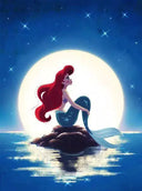 Cartoon Princess 5D Diamond Painting Kit for Magical Art Cartoon Princess 5D Diamond Painting Kit for Magical Art