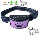 Dog Training Collar: Upgrade Your Dog's Behavior Today Dog Training Collar: Upgrade Your Dog's Behavior Today