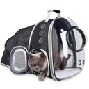 Astronaut Space Capsule Pet Carrier Backpack for Travel Astronaut Space Capsule Pet Carrier Backpack for Travel