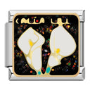 Animal Charm Bracelet Kit: DIY Jewelry Making Essentials Animal Charm Bracelet Kit: DIY Jewelry Making Essentials