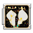 Animal Charm Bracelet Kit DIY Jewelry Making Essentials Animal Charm Bracelet Kit DIY Jewelry Making Essentials