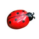 Interactive Ladybird Beetle Cat Toy for Engaging Fun Interactive Ladybird Beetle Cat Toy for Engaging Fun