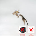 Handfree Cat Wand with Bell & Feather Toy for Cats Handfree Cat Wand with Bell & Feather Toy for Cats