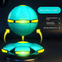 Flying Saucer Toy for Active Kids Flying Saucer Toy for Active Kids