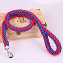 Nylon Dog Harness Leash: Premium Training Lead for Pets Nylon Dog Harness Leash: Premium Training Lead for Pets