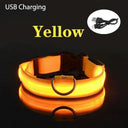 LED Dog Collar Safety Night Light Flashing Necklace LED Dog Collar Safety Night Light Flashing Necklace