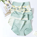 4 Pcs High Waist Womens Panties Body Shaper Plus Size Briefs 4 Pcs High Waist Womens Panties Body Shaper Plus Size Briefs
