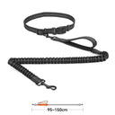 High Quality Hands-Free Dog Leash with Dual Bungee for Large Dogs High Quality Hands-Free Dog Leash with Dual Bungee for Large Dogs
