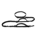 High Quality Hands-Free Dog Leash with Dual Bungee for Large Dogs High Quality Hands-Free Dog Leash with Dual Bungee for Large Dogs
