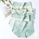 4 Pack High Waist Women Cotton Panties Body Shaper Underwear 4 Pack High Waist Women Cotton Panties Body Shaper Underwear