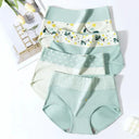 4 Pack High Waist Women Cotton Panties Body Shaper Underwear 4 Pack High Waist Women Cotton Panties Body Shaper Underwear