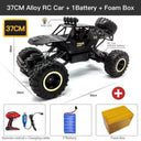 Ultimate LED Lights Off-Road Buggy RC Car Set for Kids Ultimate LED Lights Off-Road Buggy RC Car Set for Kids