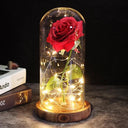 Enchanted Galaxy Rose Glass Dome Eternal Love Gift Set Deluxe Enchanted Galaxy Rose Glass Dome Eternal Love Gift Set Deluxe