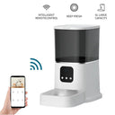 Iseebiz Automatic Pet Feeder With Camera And App Control Iseebiz Automatic Pet Feeder With Camera And App Control