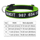 Embroidered Dog Collar: Personalized Free Customization Embroidered Dog Collar: Personalized Free Customization