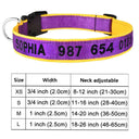 Embroidered Dog Collar: Personalized Free Customization Embroidered Dog Collar: Personalized Free Customization