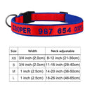 Embroidered Dog Collar: Personalized Free Customization Embroidered Dog Collar: Personalized Free Customization