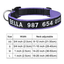 Embroidered Dog Collar: Personalized Free Customization Embroidered Dog Collar: Personalized Free Customization