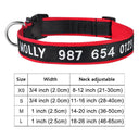 Embroidered Dog Collar: Personalized Free Customization Embroidered Dog Collar: Personalized Free Customization