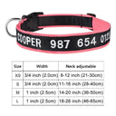 Embroidered Dog Collar: Personalized Free Customization Embroidered Dog Collar: Personalized Free Customization