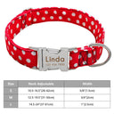 Adjustable Personalized Nylon Dog Collar with Engraved ID Tag Adjustable Personalized Nylon Dog Collar with Engraved ID Tag