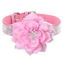 Luxury Rhinestone Flower Pet Collar Shimmering Glam Style Luxury Rhinestone Flower Pet Collar Shimmering Glam Style