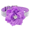 Luxury Rhinestone Flower Pet Collar Shimmering Glam Style Luxury Rhinestone Flower Pet Collar Shimmering Glam Style