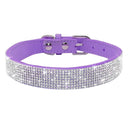 Luxury Rhinestone Flower Pet Collar Shimmering Glam Style Luxury Rhinestone Flower Pet Collar Shimmering Glam Style