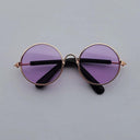 Charming Vintage Round Sunglasses for Small Pets Eye Wear Charming Vintage Round Sunglasses for Small Pets Eye Wear