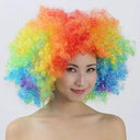 Colorful Afro Wig for Clowns & Parties Fun Hair Accessory Colorful Afro Wig for Clowns & Parties Fun Hair Accessory