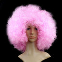 Colorful Afro Wig for Clowns & Parties Fun Hair Accessory Colorful Afro Wig for Clowns & Parties Fun Hair Accessory