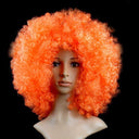 Colorful Afro Wig for Clowns & Parties Fun Hair Accessory Colorful Afro Wig for Clowns & Parties Fun Hair Accessory