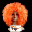 Colorful Afro Wig for Clowns & Parties Fun Hair Accessory Colorful Afro Wig for Clowns & Parties Fun Hair Accessory