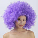 Colorful Afro Wig for Clowns & Parties Fun Hair Accessory Colorful Afro Wig for Clowns & Parties Fun Hair Accessory