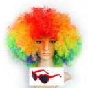 Colorful Afro Wig for Clowns & Parties Fun Hair Accessory Colorful Afro Wig for Clowns & Parties Fun Hair Accessory