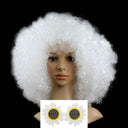 Colorful Afro Wig for Clowns & Parties Fun Hair Accessory Colorful Afro Wig for Clowns & Parties Fun Hair Accessory