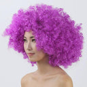 Colorful Afro Wig for Clowns & Parties Fun Hair Accessory Colorful Afro Wig for Clowns & Parties Fun Hair Accessory
