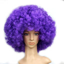 Colorful Afro Wig for Clowns & Parties Fun Hair Accessory Colorful Afro Wig for Clowns & Parties Fun Hair Accessory