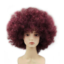 Colorful Afro Wig for Clowns & Parties Fun Hair Accessory Colorful Afro Wig for Clowns & Parties Fun Hair Accessory