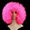 Colorful Afro Wig for Clowns & Parties Fun Hair Accessory Colorful Afro Wig for Clowns & Parties Fun Hair Accessory