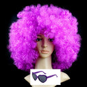 Colorful Afro Wig for Clowns & Parties Fun Hair Accessory Colorful Afro Wig for Clowns & Parties Fun Hair Accessory