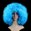 Colorful Afro Wig for Clowns & Parties Fun Hair Accessory Colorful Afro Wig for Clowns & Parties Fun Hair Accessory