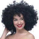 Colorful Afro Wig for Clowns & Parties Fun Hair Accessory Colorful Afro Wig for Clowns & Parties Fun Hair Accessory