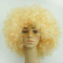 Colorful Afro Wig for Clowns & Parties Fun Hair Accessory Colorful Afro Wig for Clowns & Parties Fun Hair Accessory